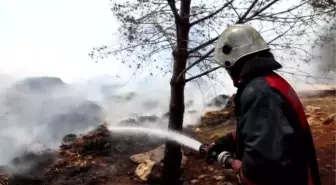 Mersin'de ormanlık alanın yanındaki saman balyalarında çıkan yangın söndürüldü