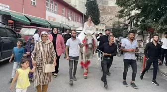 Artvin gündem haberleri | Artvin'de düğününe at üzerinde giden gelin çocukluk hayalini gerçekleştirdi