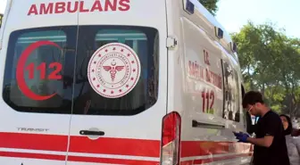 Son dakika haber: Asaf bebek Aydın'da meydana gelen trafik kazasında hayatını kaybetti