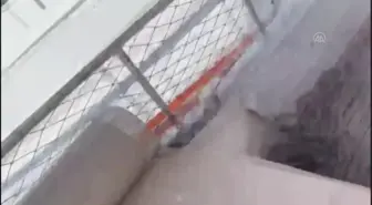 Muğla haberi... Bodrum'da iki tur teknesi çarpıştı, bir kişi hafif yaralandı