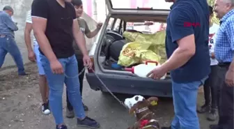 BUZAĞILAR, TEŞVİK YARIŞMASINDA GÖRÜCÜYE ÇIKTI