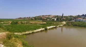 İnatçı filminin çekildiği tarihi taş köprüde çöp adacıkları yeşerdi