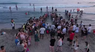 Patara'da caretta caretta yavrularının denizle buluşması böyle görüntülendi
