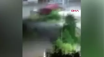 Son dakika haberi! RİZE'DE MAHALLEYE İNEN YAVRU AYI KAMERADA
