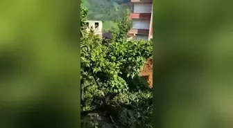 Rize yerel haberi... Rize'de Yol Yapımı Nedeniyle Arazisi İstimlak Edilen Kezban Yılmaz, Dozerin Önüne Çıkarak Yaşananlara Tepki Gösterdi