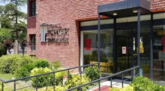 Topkapı Üniversitesi Bölümleri