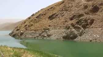 Hakkari Yüksekova kuraklıkla boğuşuyor! Barajdaki su seviyesi 30 metre birden düştü