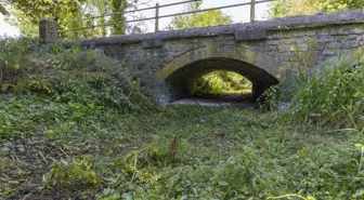 İngiltere'deki Thames Nehri'nin kaynağı kuruyor