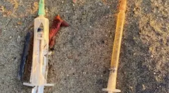 Oyuncu Yasemin Kay Allen, Kilyos Sahili'nde ölen yunus balığını ve atıklarını paylaşarak sert tepki gösterdi: Bu bir skandaldır