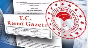 Varlık Barışı'nın Detayları Belli Oldu: Beyan Edilen Tutar 3 Ay İçinde Yurda Getirilecek