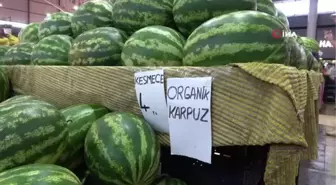 Yaz aylarının vazgeçilmezi karpuz, kansere ve kalp hastalıklarına karşı koruyor