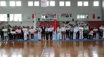 Hatay spor haberleri | Anadolu Yıldızları Ligi karate finalleri İskenderun'da başladı