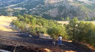 Bingöl haberi! Bingöl'de otluk alanda çıkan yangın büyümeden söndürüldü