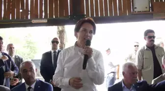 Meral Akşener: 'Bu İletim Şirketi Meselesinin Millileşmesi Gerekiyor'