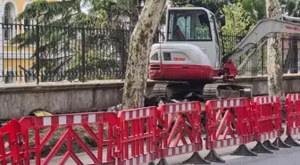 Diyarbakır haberi... TMMOB ORMAN MÜHENDİSLERİ ODASI '112 ÇINAR RAPORU'NU AÇIKLADI