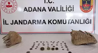 Adana haber! Adana'da mamut fosili ele geçirildi