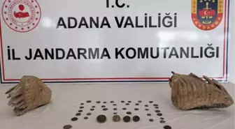 Adana gündem haberleri | Adana'da, otomobilde mamut fosilleri ele geçirildi