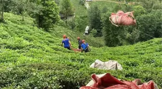 Afyon gündem haberi | ÇAY HASADINDA, TELEFERİK SEPETİNİN ÇARPMASIYLA YARALANDI