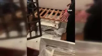 Son dakika haberi! Dolandırıcılık operasyonunda 48 milyon sterlin değerinde çalıntı tablo bulundu