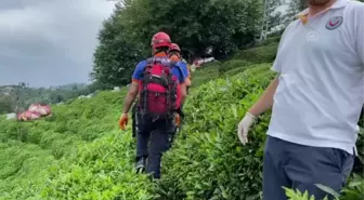 Yük taşımada kullanılan ilkel teleferiğin çarptığı kişi yaralandı