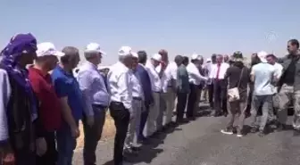 Diyarbakır haberleri... DİYARBAKIR - Vali Su, kurutmalık domates ve salça üretimi yapan kadın girişimciyle görüştü
