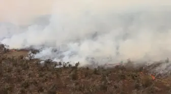 Son dakika haberi! Hawaii'de çalılık alanda yangın: 9 bin 800 hektar alan kül oldu