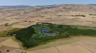 Elazığ haberi | Kaz Gölü maden tehdidinden şimdilik kurtuldu