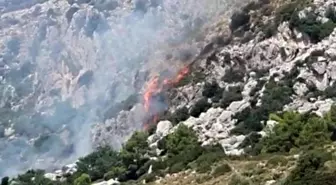 Marmaris'te makilik alanda yangın çıktı