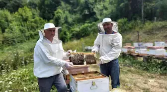 Karabük haberi... Yenice Ihlamur Balı 'Tescil' yolunda