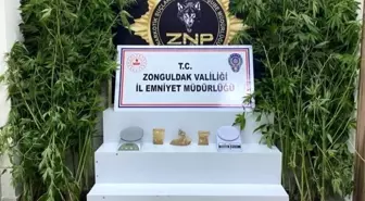 Son Dakika | Zonguldak'ta uyuşturucu operasyonunda 3 tutuklama