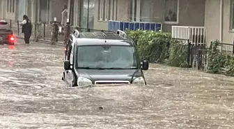 Bursa haber | Mudanya'da hayat normale döndü... Selden geriye çamur kaldı