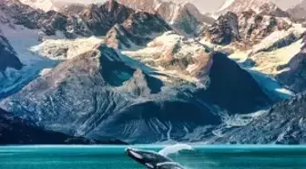 Balinaların bedenlerindeki sistemin gezegendeki ısı dengesini değiştirdiği ortaya çıktı