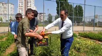 Muş genel haberi: Muş'ta okul bahçesinde yetiştirilen sebzeler, ihtiyaç sahiplerine dağıtılıyor