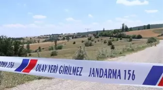 Tunceli'de bir köy, kuduz vakası nedeniyle karantinaya alındı