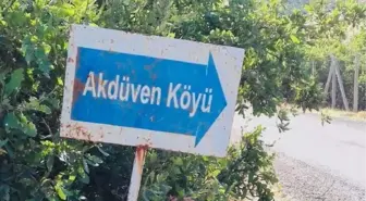 Yaban hayvanının ısırdığı inek kuduz çıktı, köy karantinaya alındı