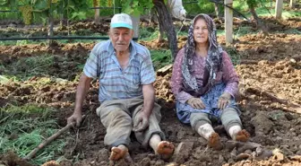 Yaşlı çift çalışma azmiyle örnek oluyor