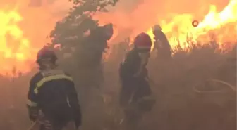 İspanya'daki orman yangını bölgesinden geçen trende facia: 20 yaralı