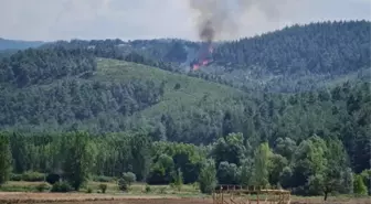 Bursa haberleri... Bursa'da ormanlık alanda çıkan yangın kontrol altına alındı