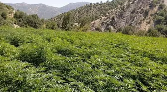 Son dakika haberi! Diyarbakır'da terörün finansman kaynağı 'ablukaya' alındı