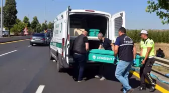 Yol kenarında erkek cesedi bulundu