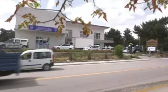 Ankara yerel haberleri | Engelli Vatandaşlar Ankara Büyükşehir'in Pikniğinde Bir Araya Geldi