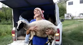 Koyunları telef olan kadın çobanın imdadına Başkan Çerçioğlu yetişti