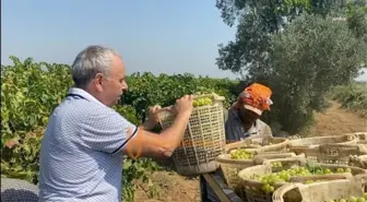 Ahmet Vehbi Bakırlıoğlu: 27 Lira Kurum Üzüm Fiyatı ile Ancak 1 Litre Mazot Alınabiliyor