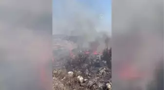 Hatay'da makilik alanda çıkan yangın söndürüldü