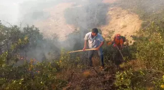 Son dakika 3. sayfa: Tunceli'de çıkan örtü yangınına müdahale sürüyor