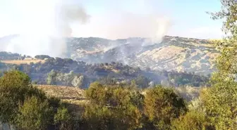 Son dakika haberleri... Tunceli'de örtü yangını