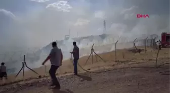 Son dakika haberi | BİNGÖL'DE İKİ FARKLI NOKTADA ÇIKAN OTLUK YANGINI, İTFAİYE EKİPLERİNCE SÖNDÜRÜLDÜ