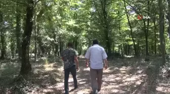 Garip ama gerçek