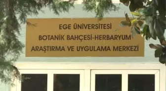 Muğla haberleri! Muğla'da yeni yabani soğan türü keşfedildi