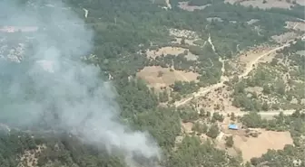 Balıkesir haber! BALIKESİR'DEKİ ÇİFTE ORMAN YANGINI SÖNDÜRÜLDÜ